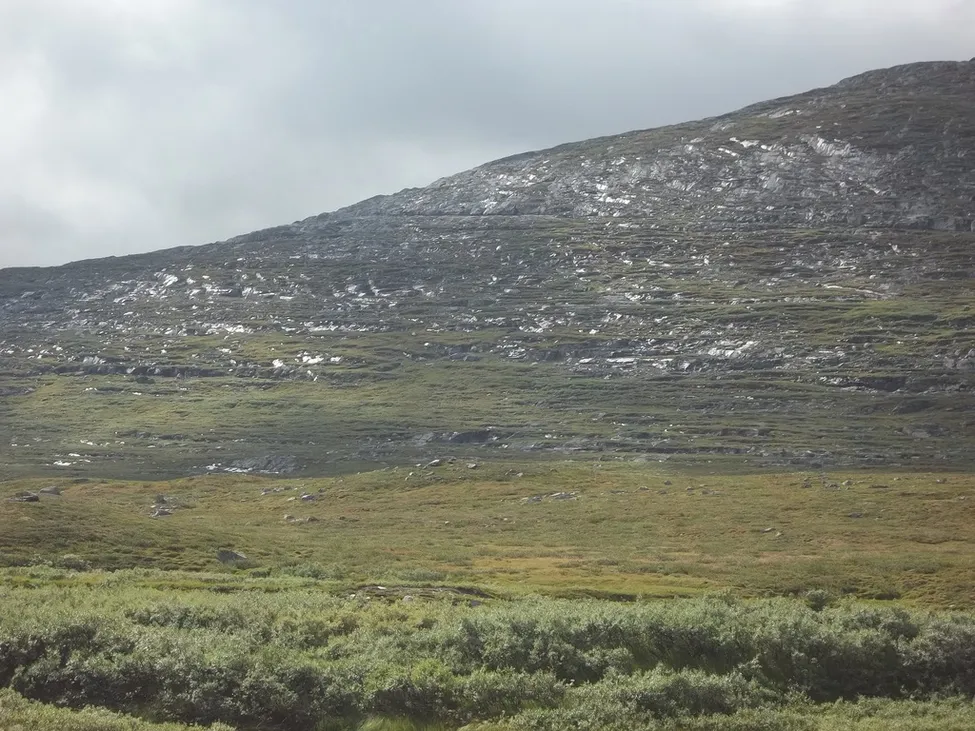 Klicka för att förstora