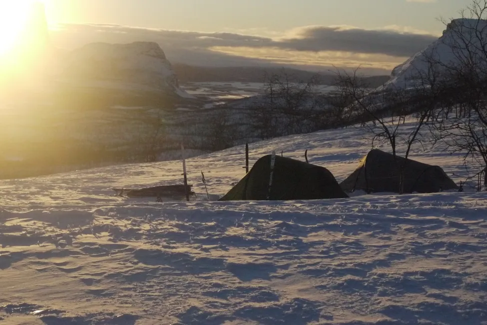 Klicka för att förstora