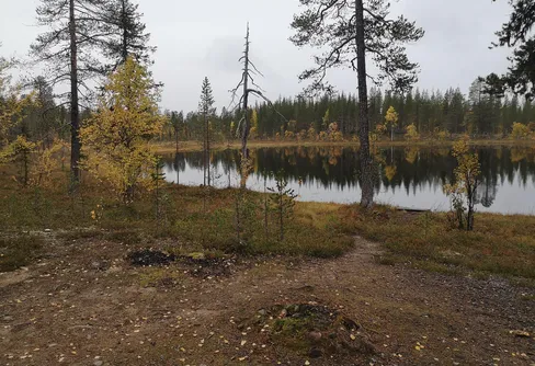 Muddus - från ravin till ravin