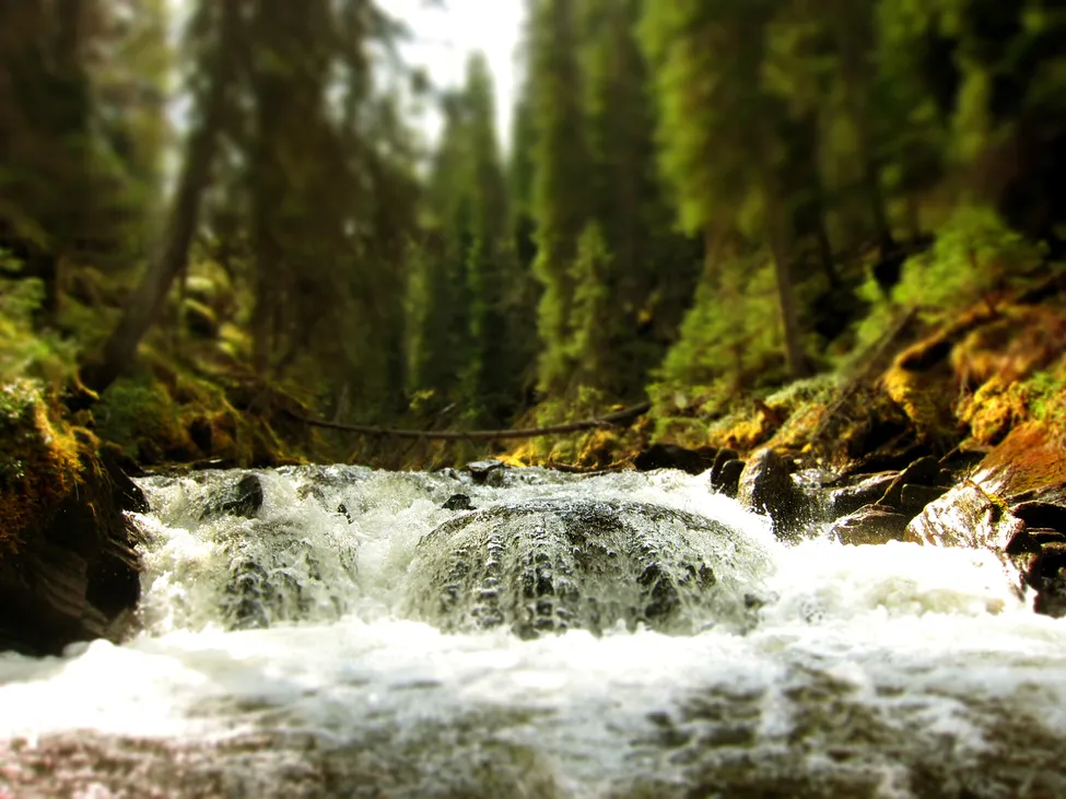 Klicka för att förstora