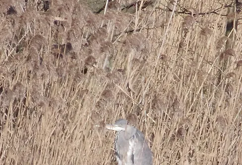 När jag vände ryggen till smet minusgraderna förbi