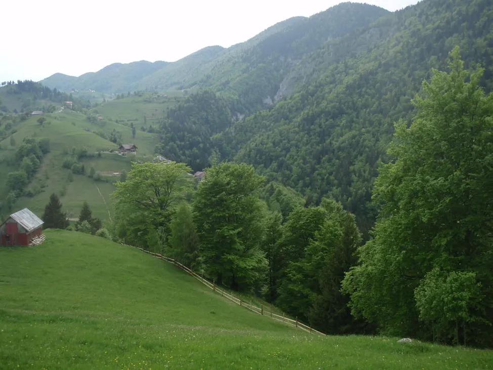 Klicka för att förstora