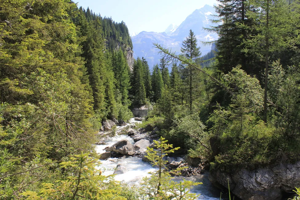 Klicka för att förstora