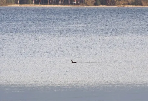 En ubåt i Vombsjön