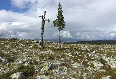 Många fjällbesökare underskattar fjällvädret