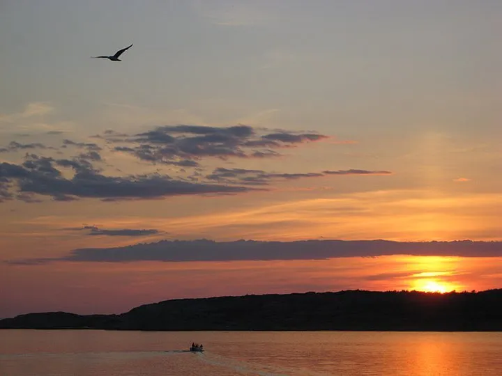 Klicka för att förstora