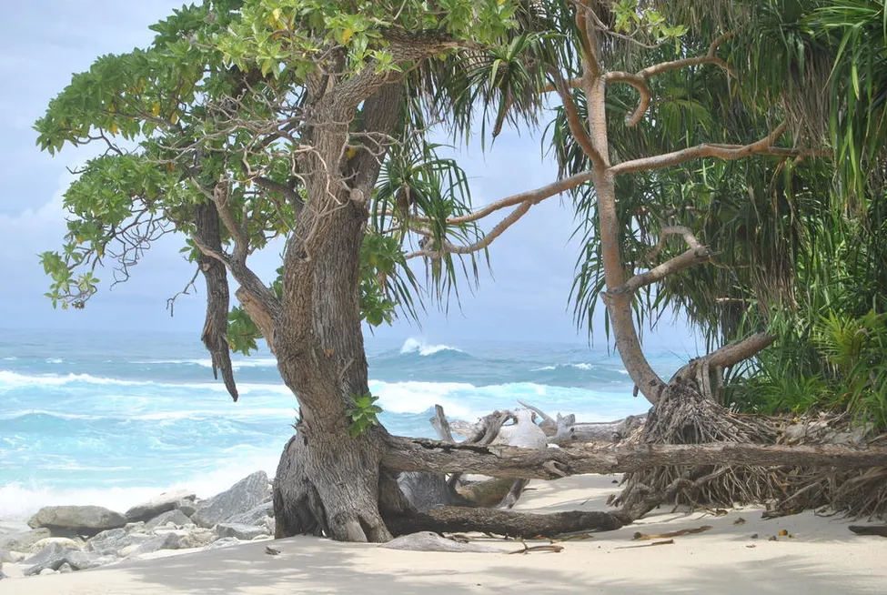 Klicka för att förstora