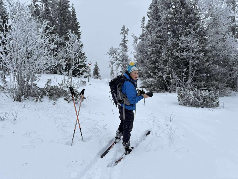 Klicka för att förstora