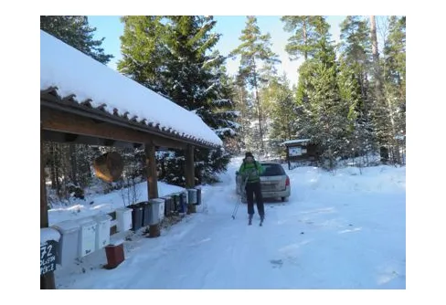 Vintertur med turskidor – Tre sjöar i Paradisets Naturreservat