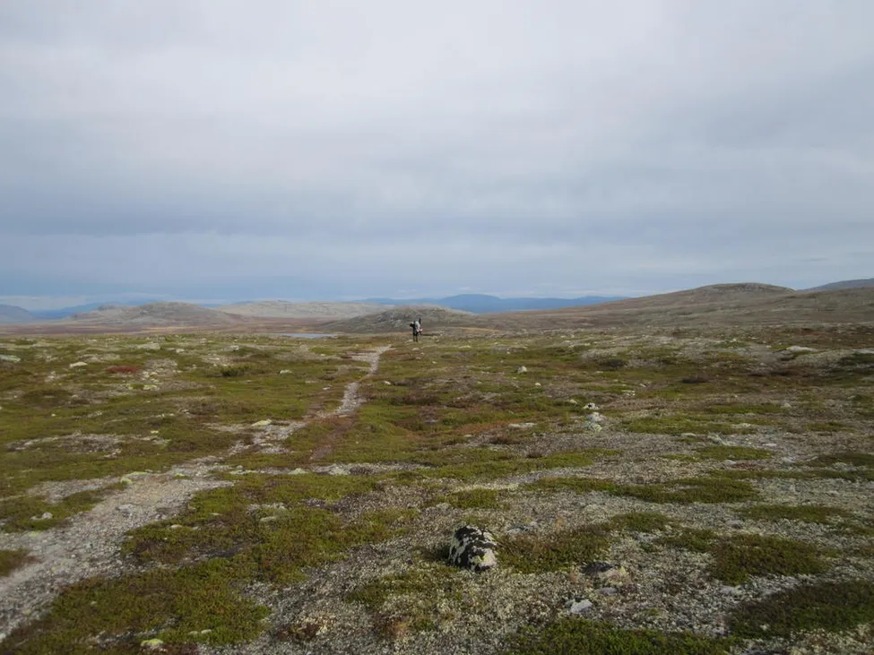 Klicka för att förstora