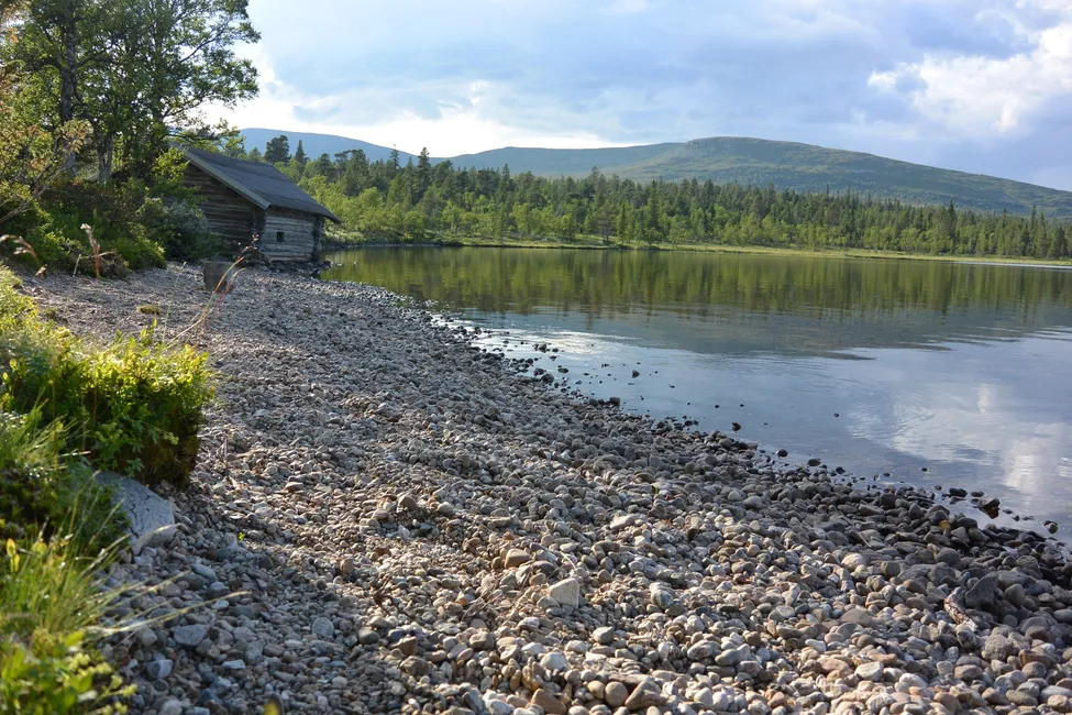 Klicka för att förstora