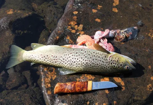 Det är mycket prat om lämlar....