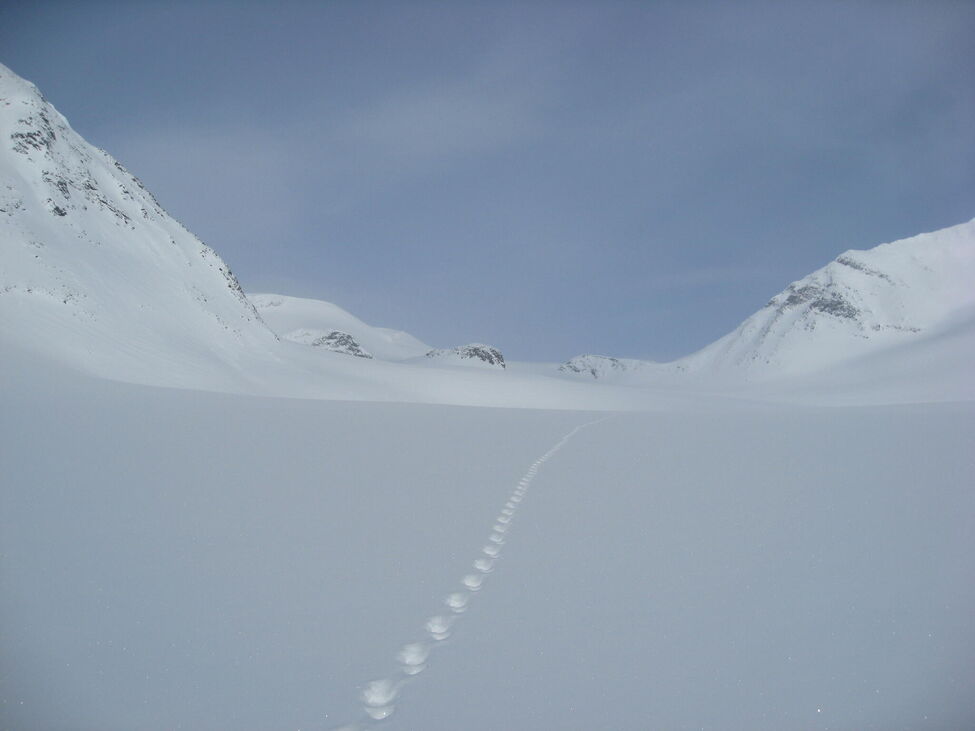 Klicka för att förstora