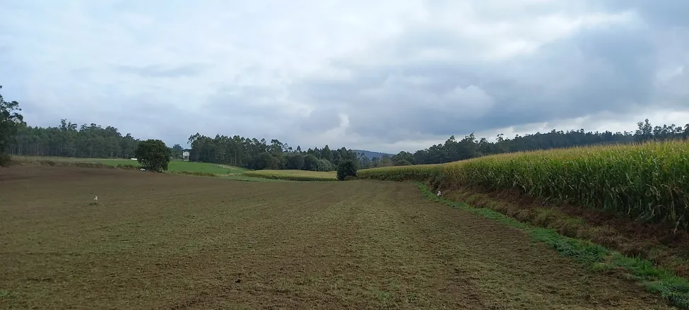 Klicka för att förstora