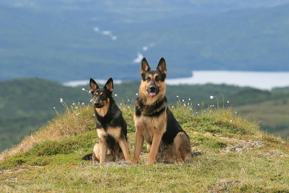 Klicka för att förstora