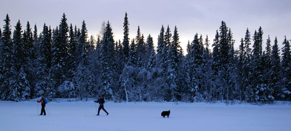 Klicka för att förstora