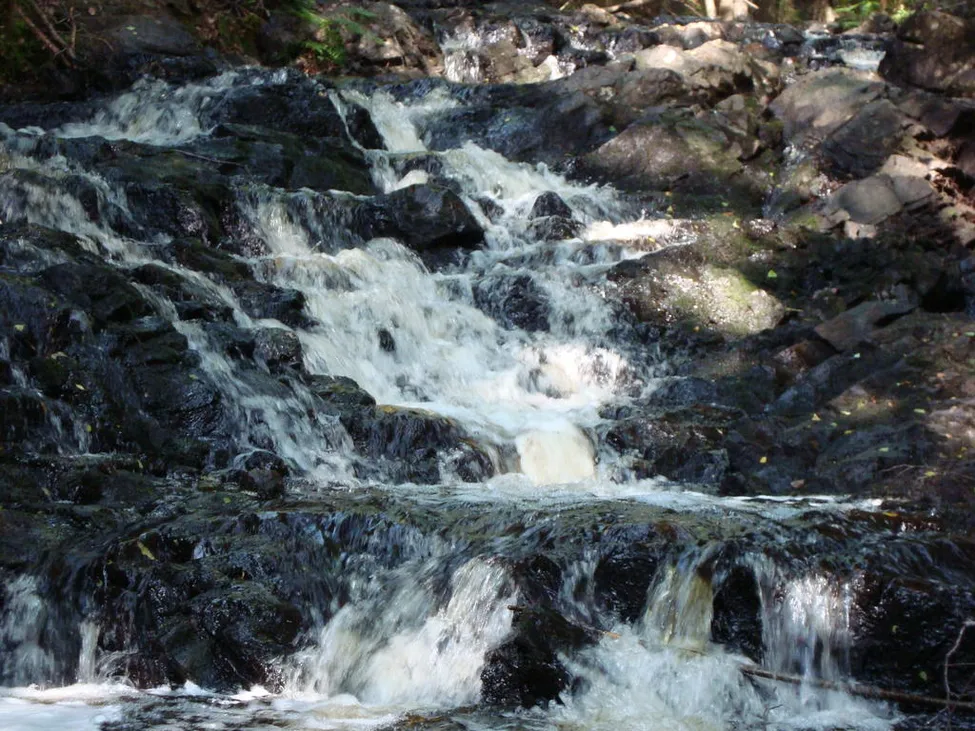 Klicka för att förstora