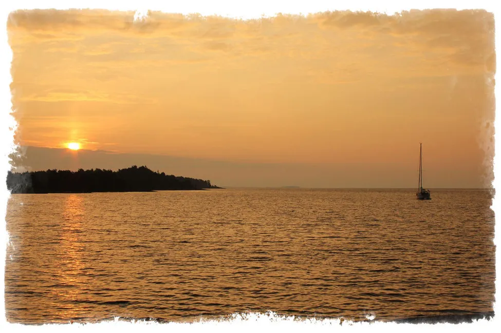 Klicka för att förstora