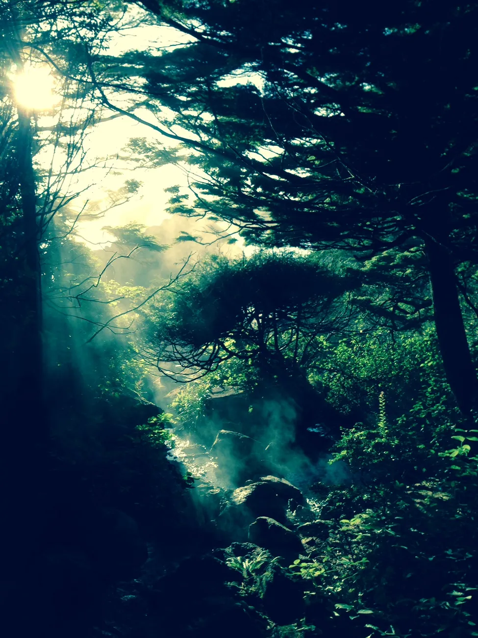 Klicka för att förstora