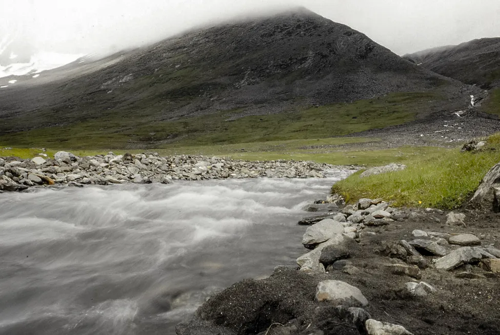 Klicka för att förstora