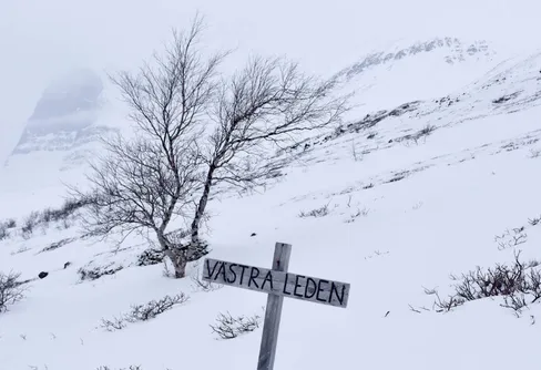 Sherpas bygger led av sten på Kebnekaise