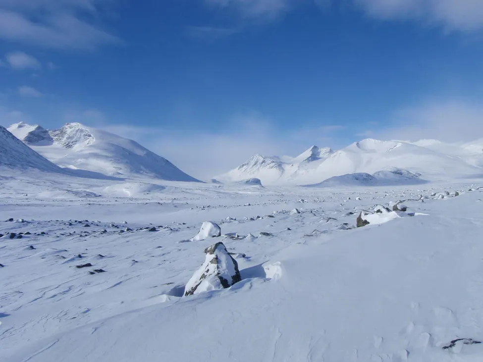 Klicka för att förstora