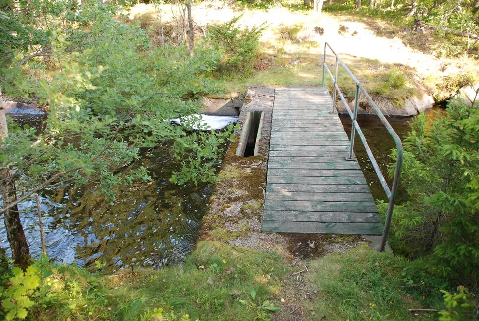 Klicka för att förstora