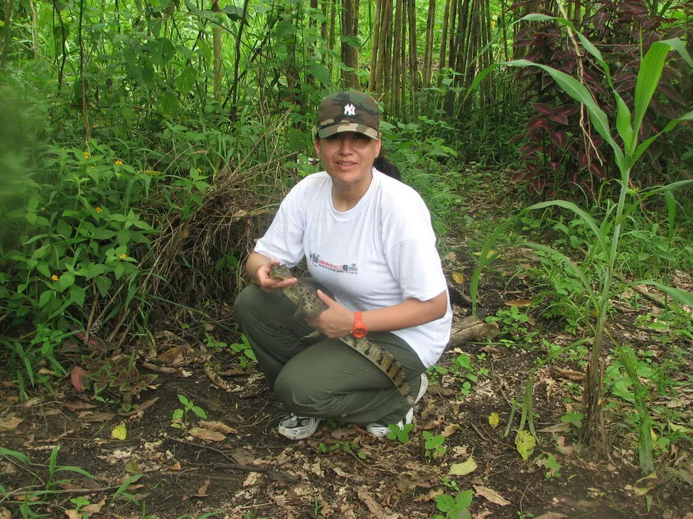 Klicka för att förstora