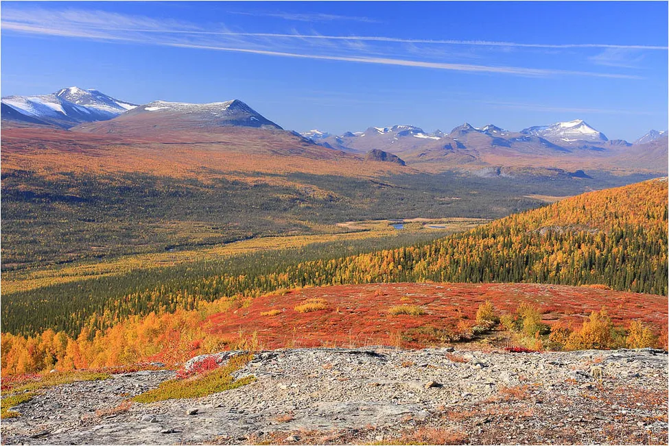 Klicka för att förstora