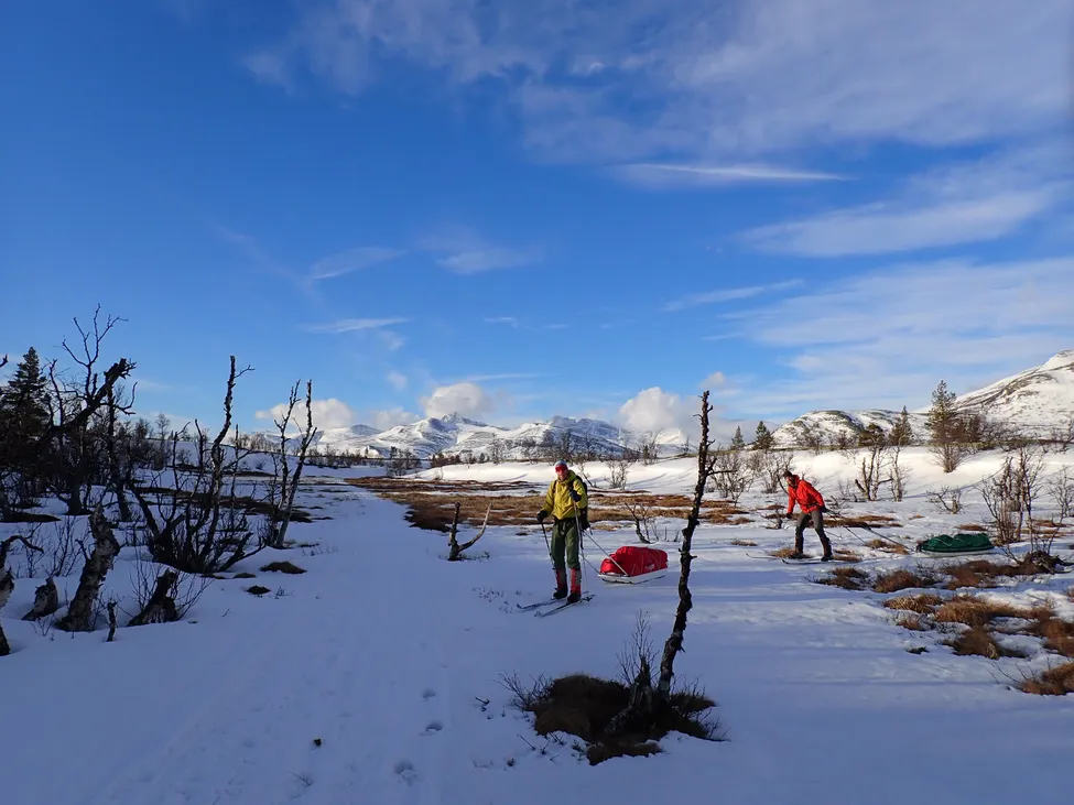 Klicka för att förstora