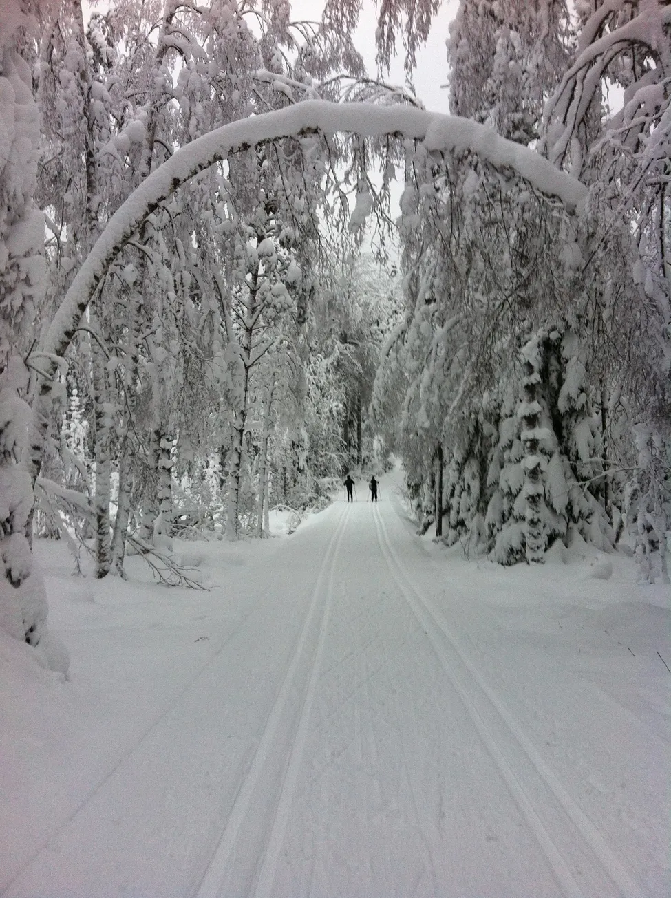 Klicka för att förstora