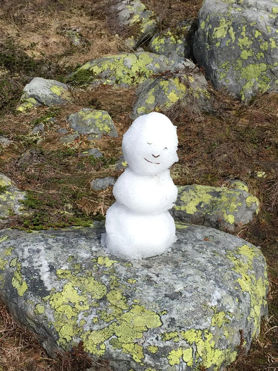 Klicka för att förstora