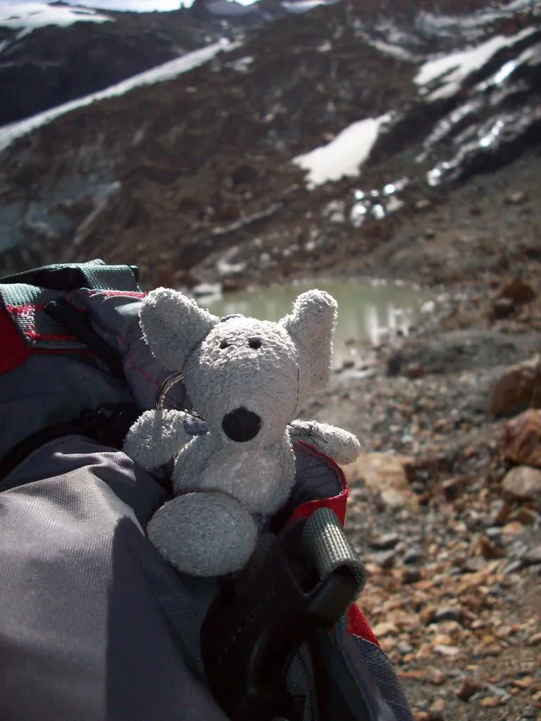 Klicka för att förstora