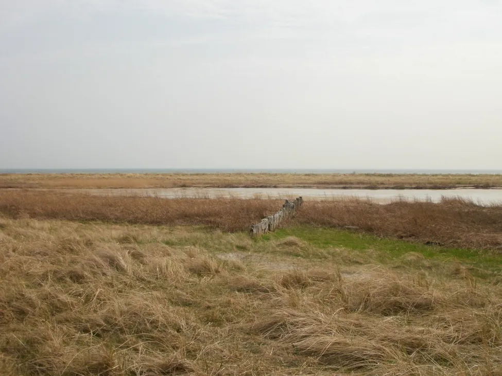 Klicka för att förstora