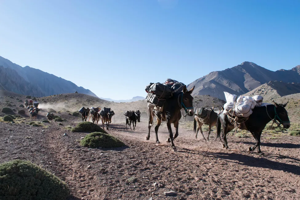 Klicka för att förstora