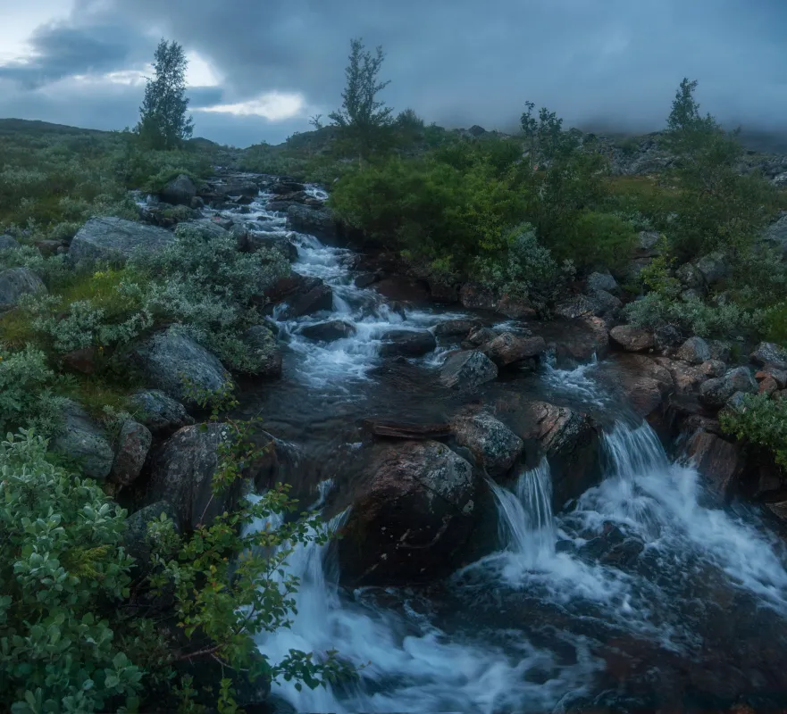 Klicka för att förstora