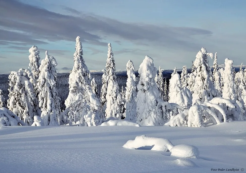 Klicka för att förstora