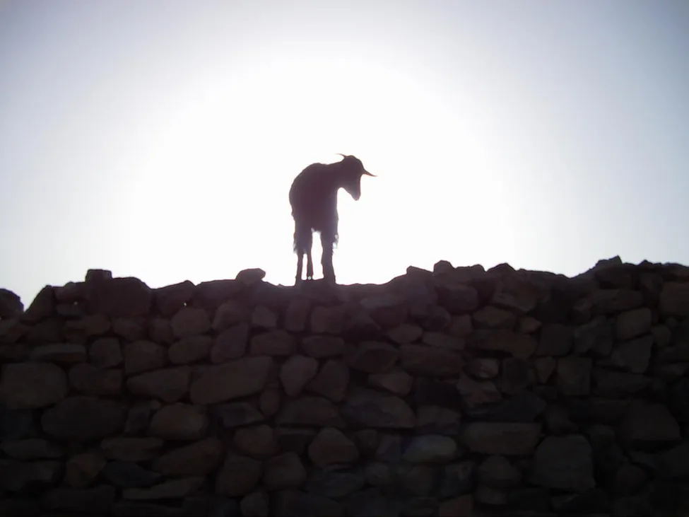 Klicka för att förstora