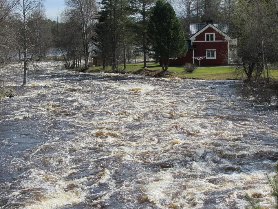 Klicka för att förstora