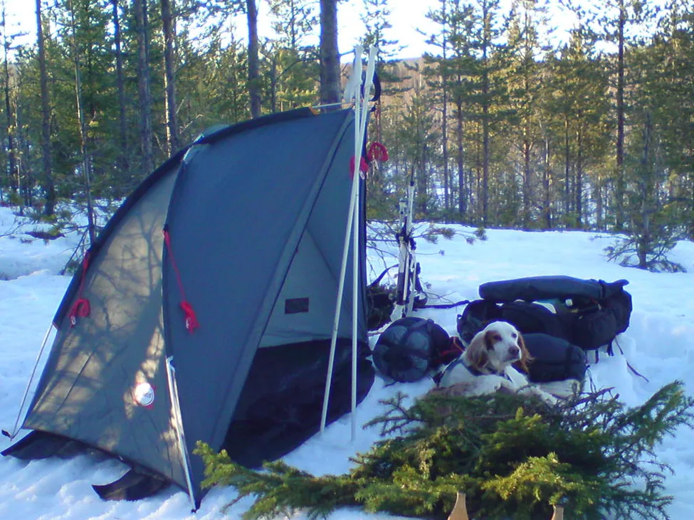 Klicka för att förstora