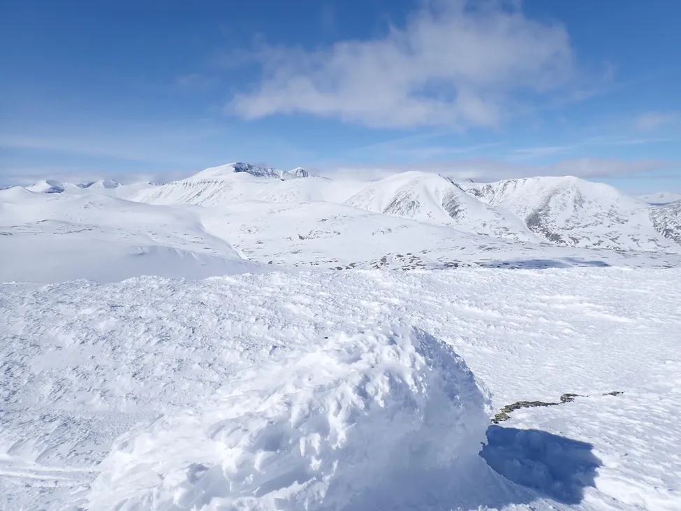 Klicka för att förstora