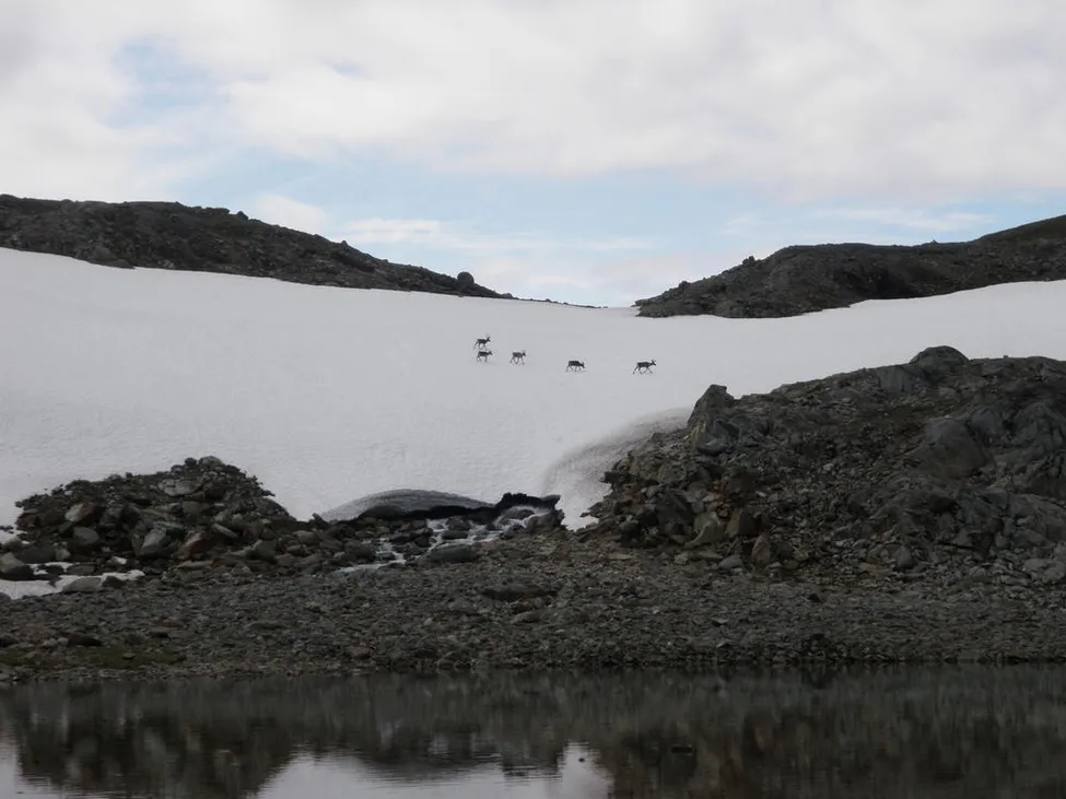 Klicka för att förstora