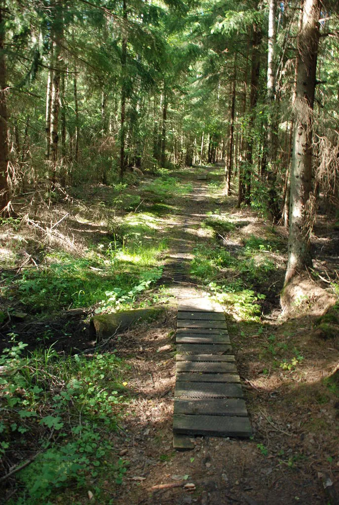 Klicka för att förstora