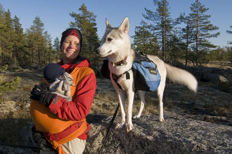 Klicka för att förstora