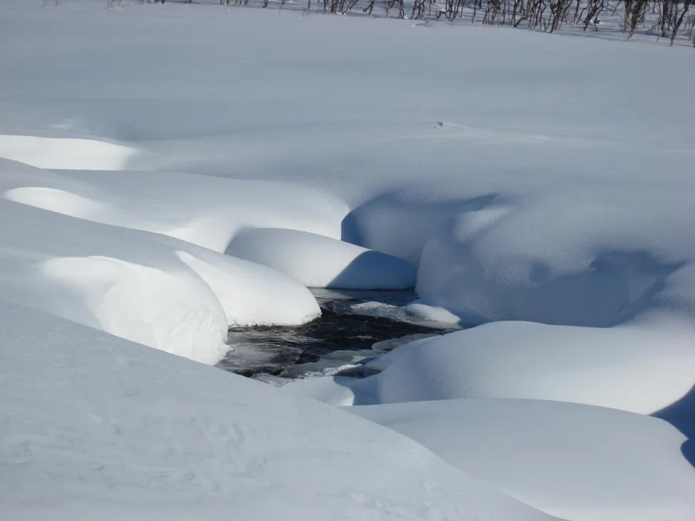 Klicka för att förstora