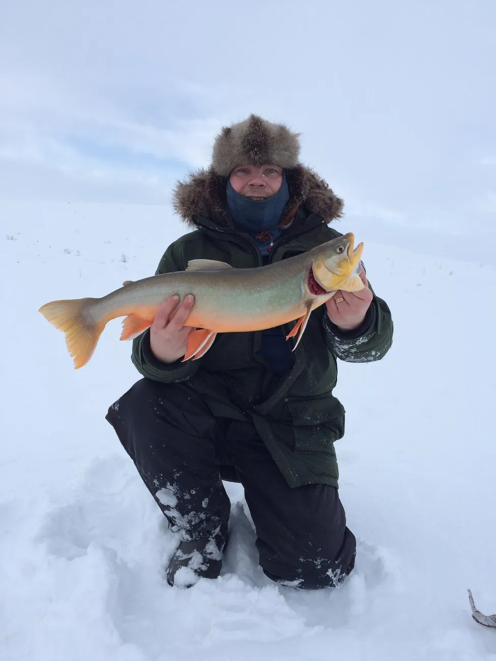 Klicka för att förstora