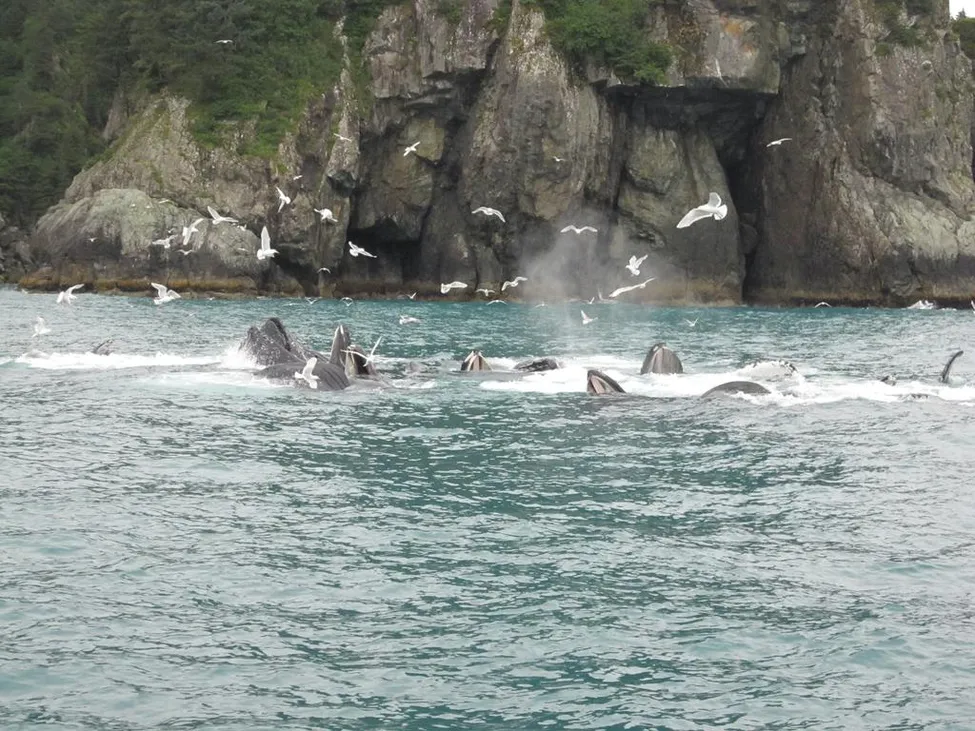 Klicka för att förstora