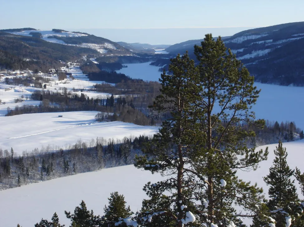 Klicka för att förstora