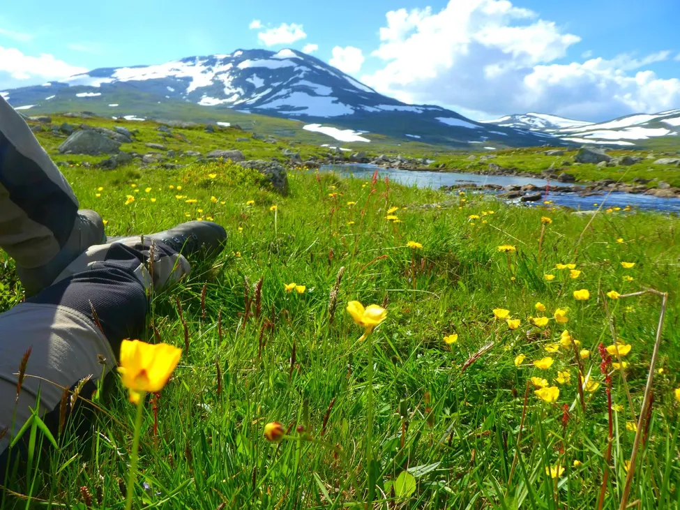 Klicka för att förstora