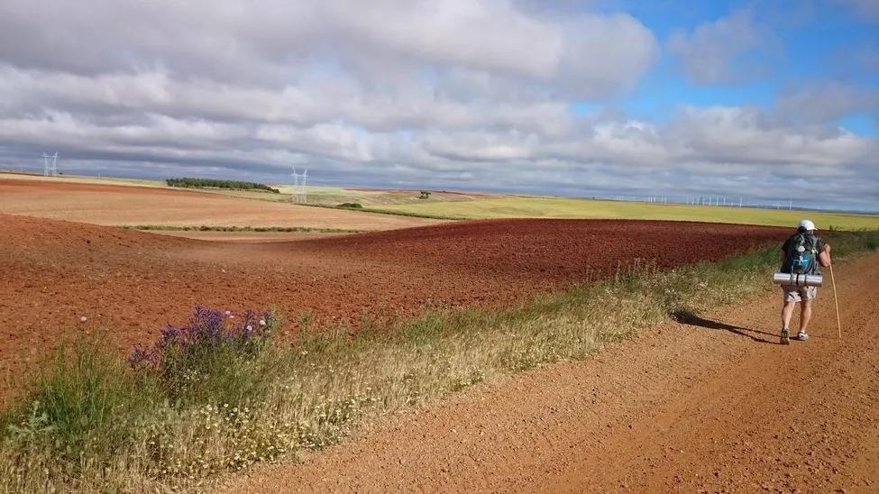 Klicka för att förstora